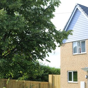 Housing example 10
